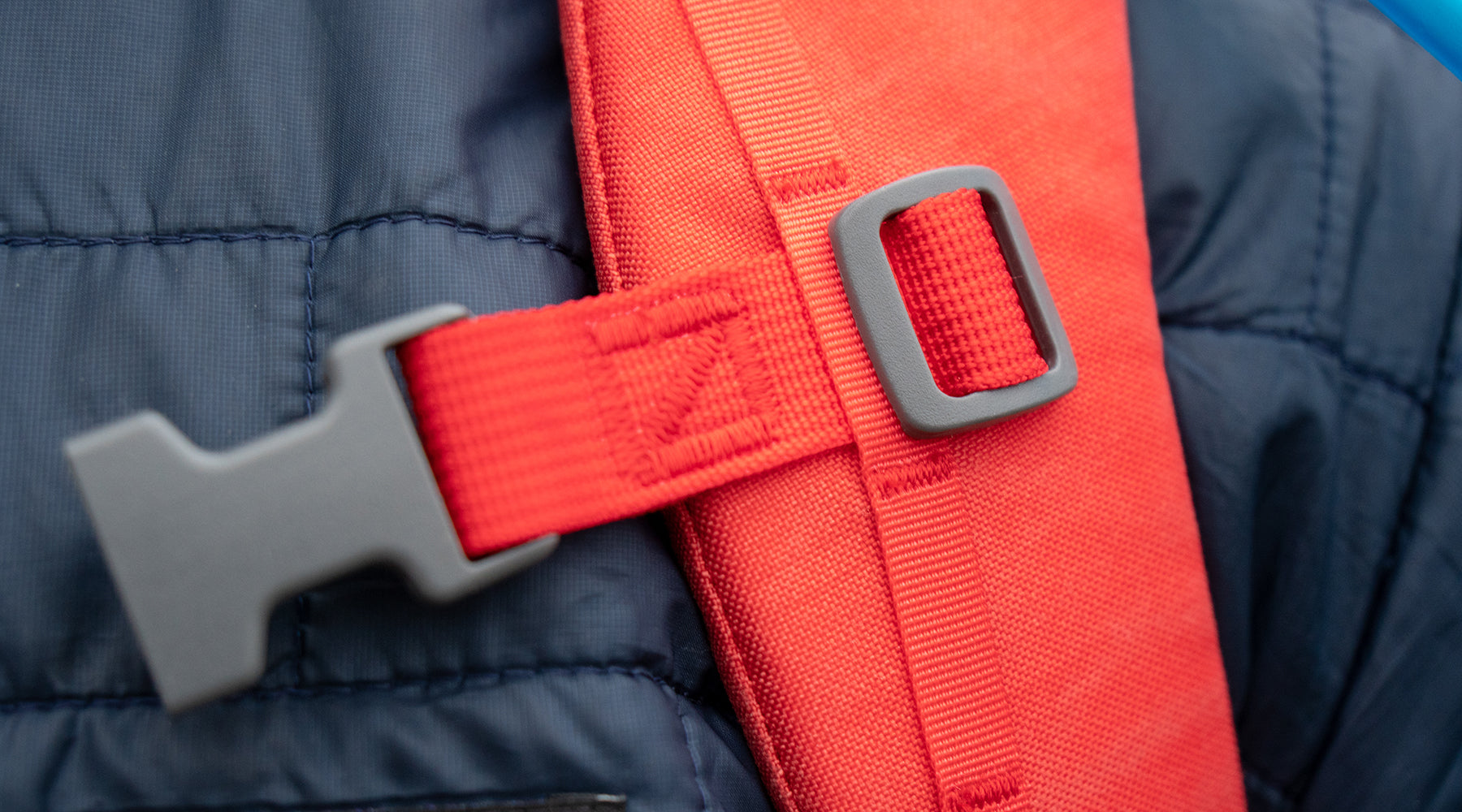 Why Ultra Red? - EVERGOODS