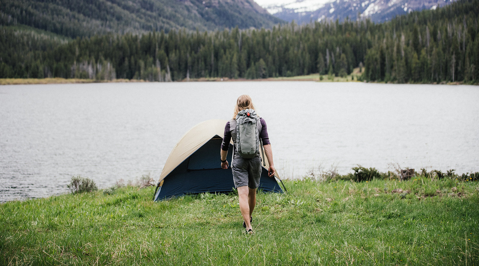 MQD24 - Features Outline and Video