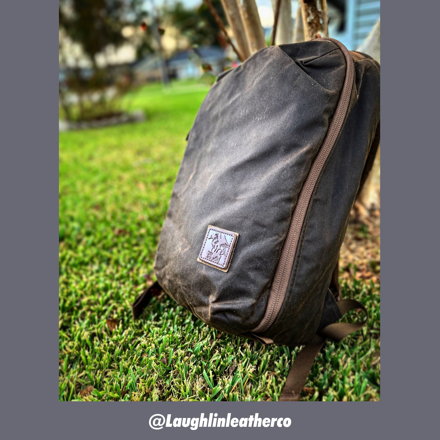 Griffin in the Wild - EVERGOODS