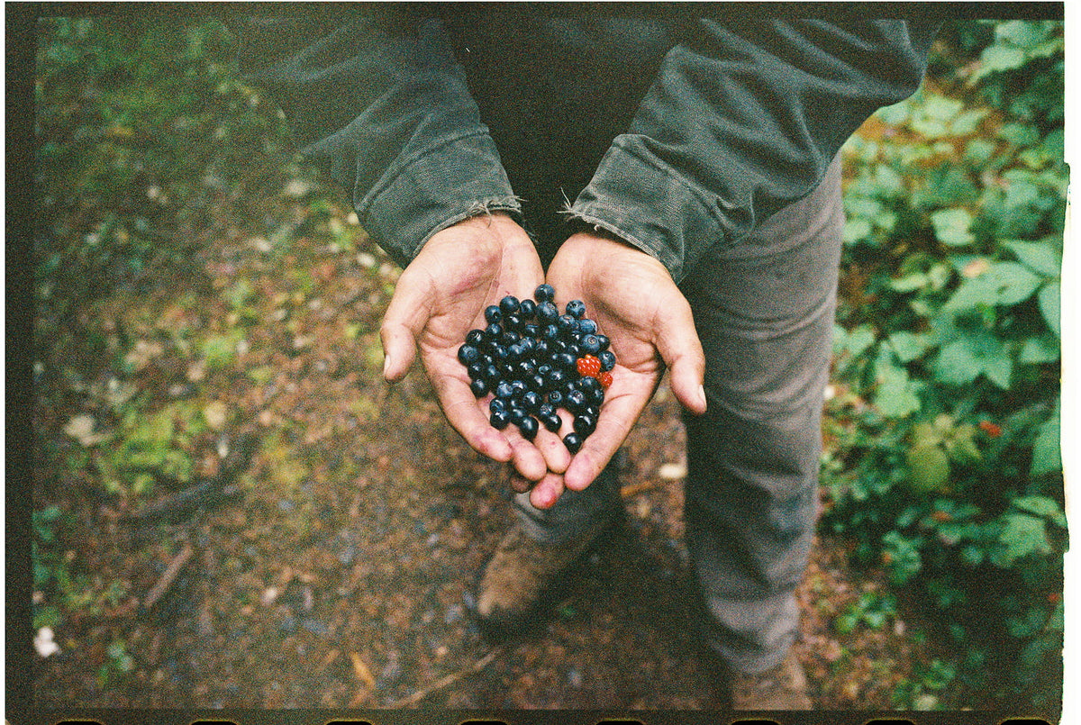 Alaska Waxed Canvas Behind the Scenes Blueberries in Hand